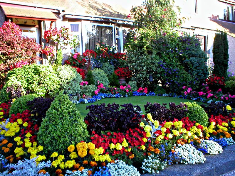 Aberdeen Garden Competition front garden