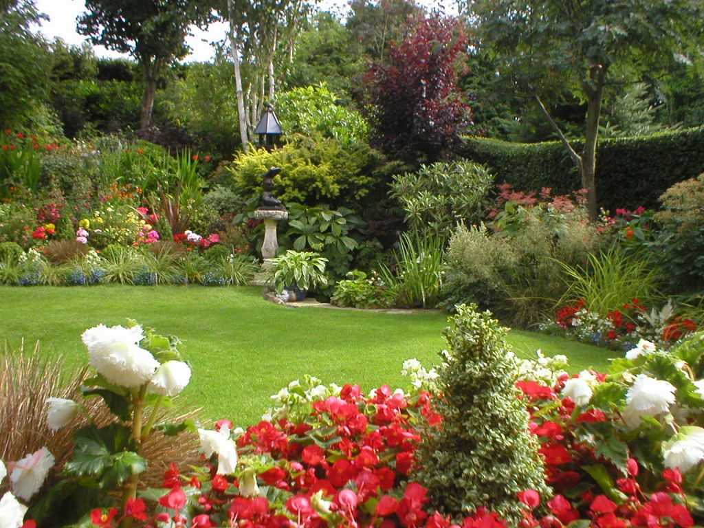 back garden in Aberdeen