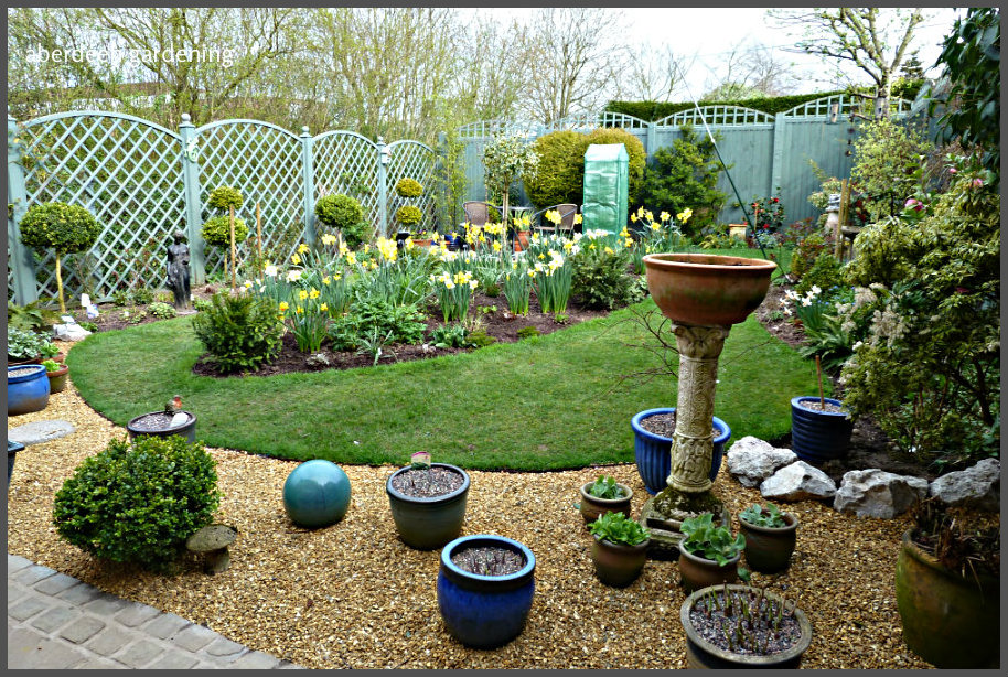 Back garden April (2)